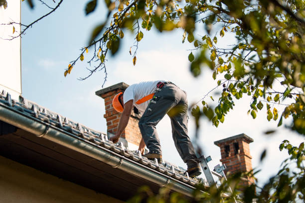 Best Roof Gutter Cleaning  in Saegertown, PA