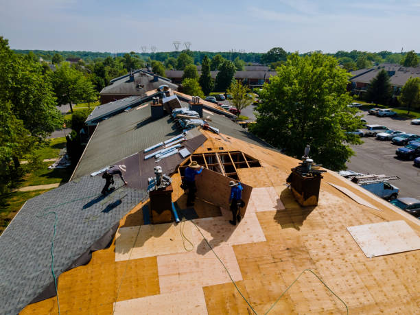 Best Storm Damage Roof Repair  in Saegertown, PA