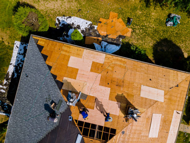 Professional Roofing Contractor in Saegertown, PA